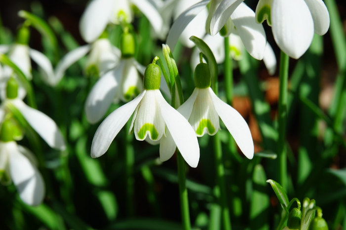 Spring Equinox Workshop